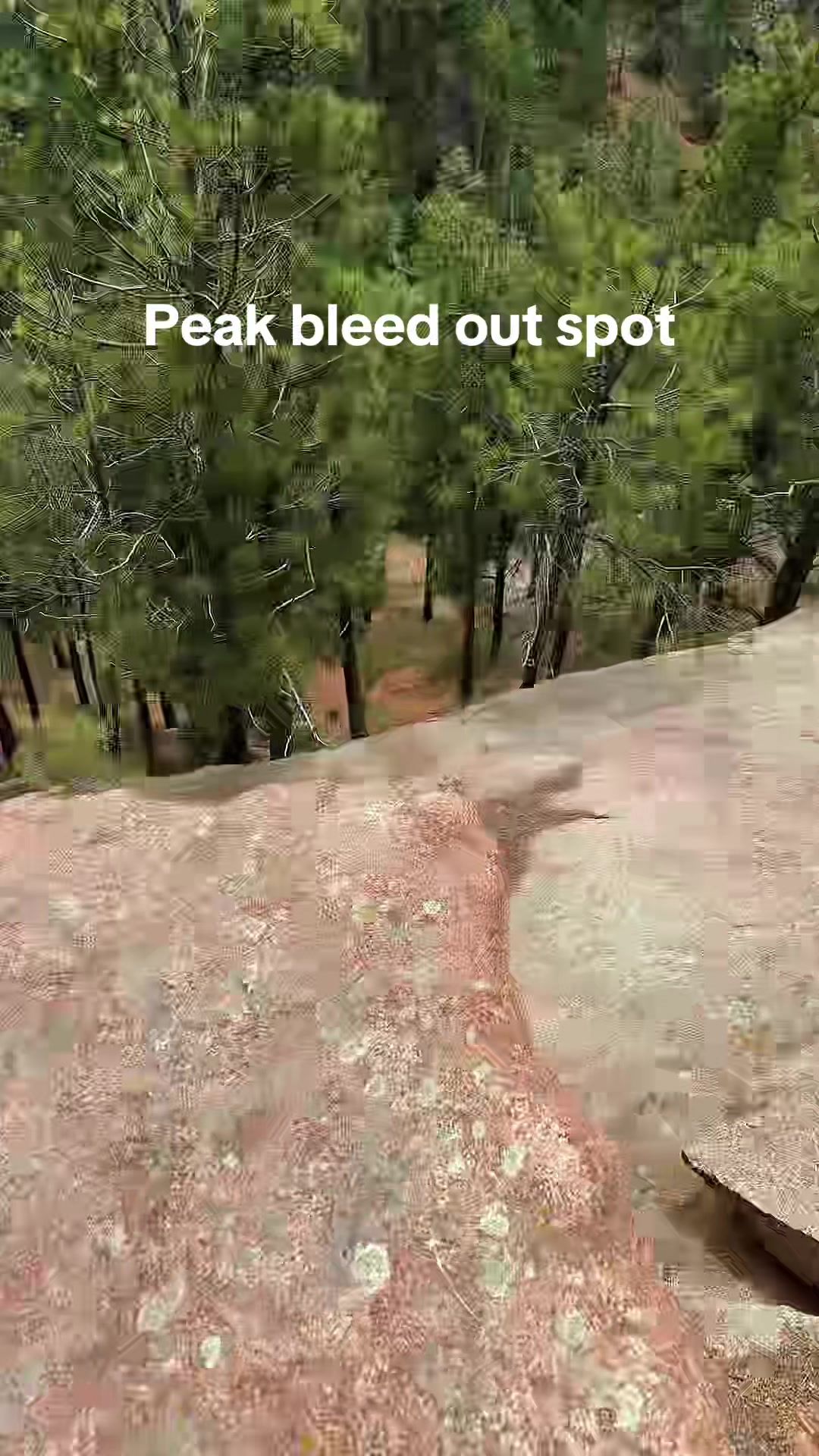 @Texaslv