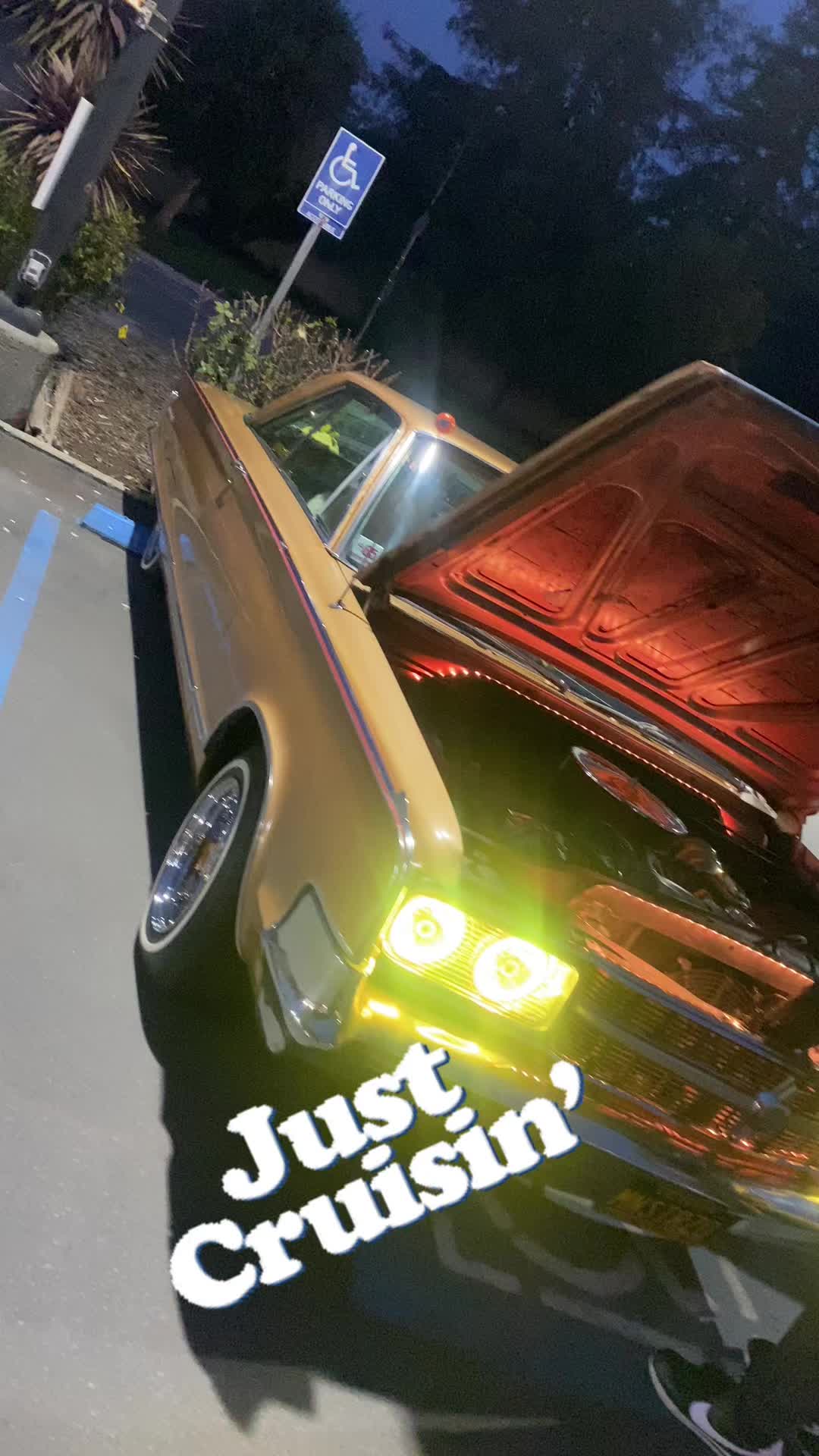 @Blvdranflazcc