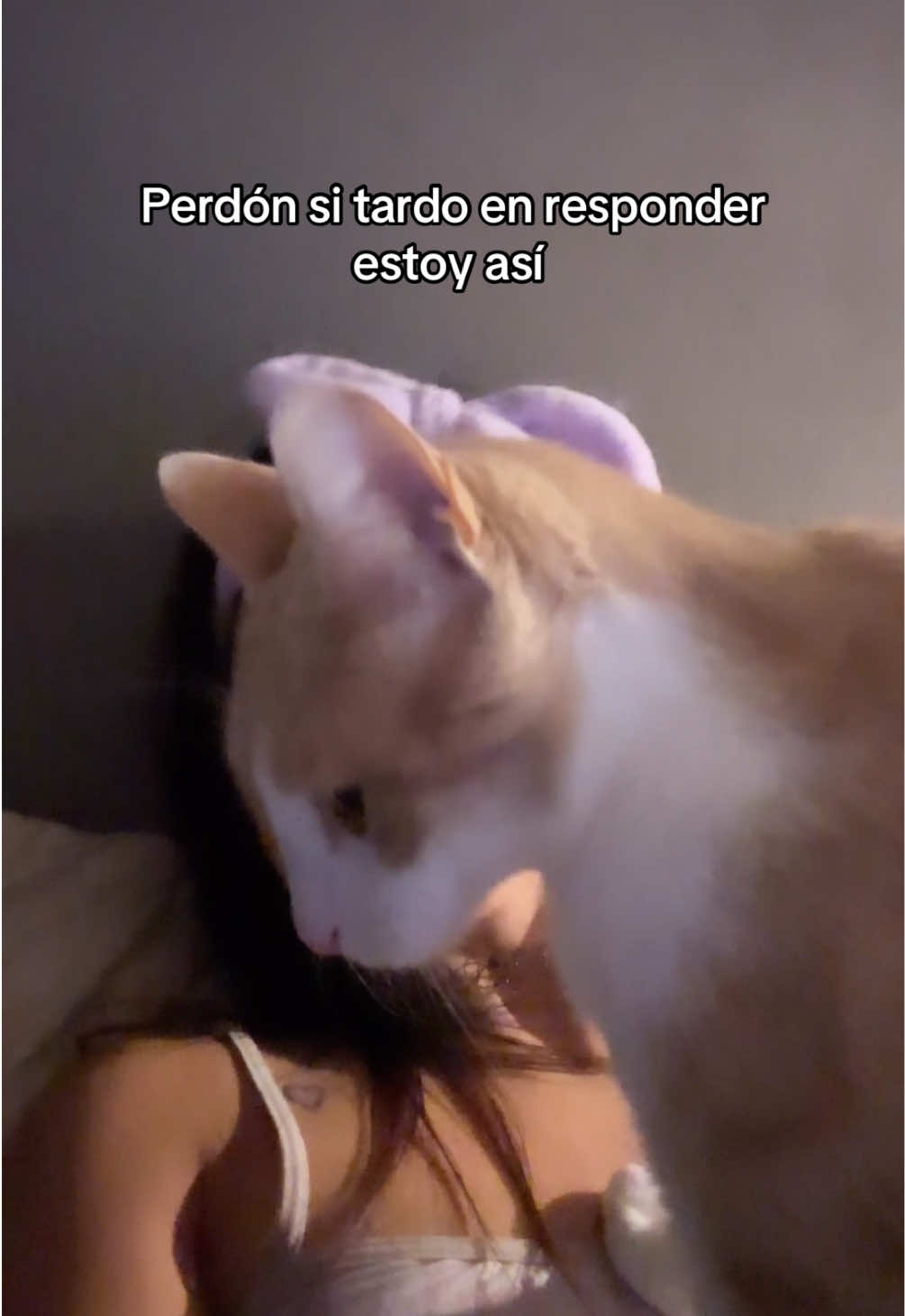 @tinadolly._