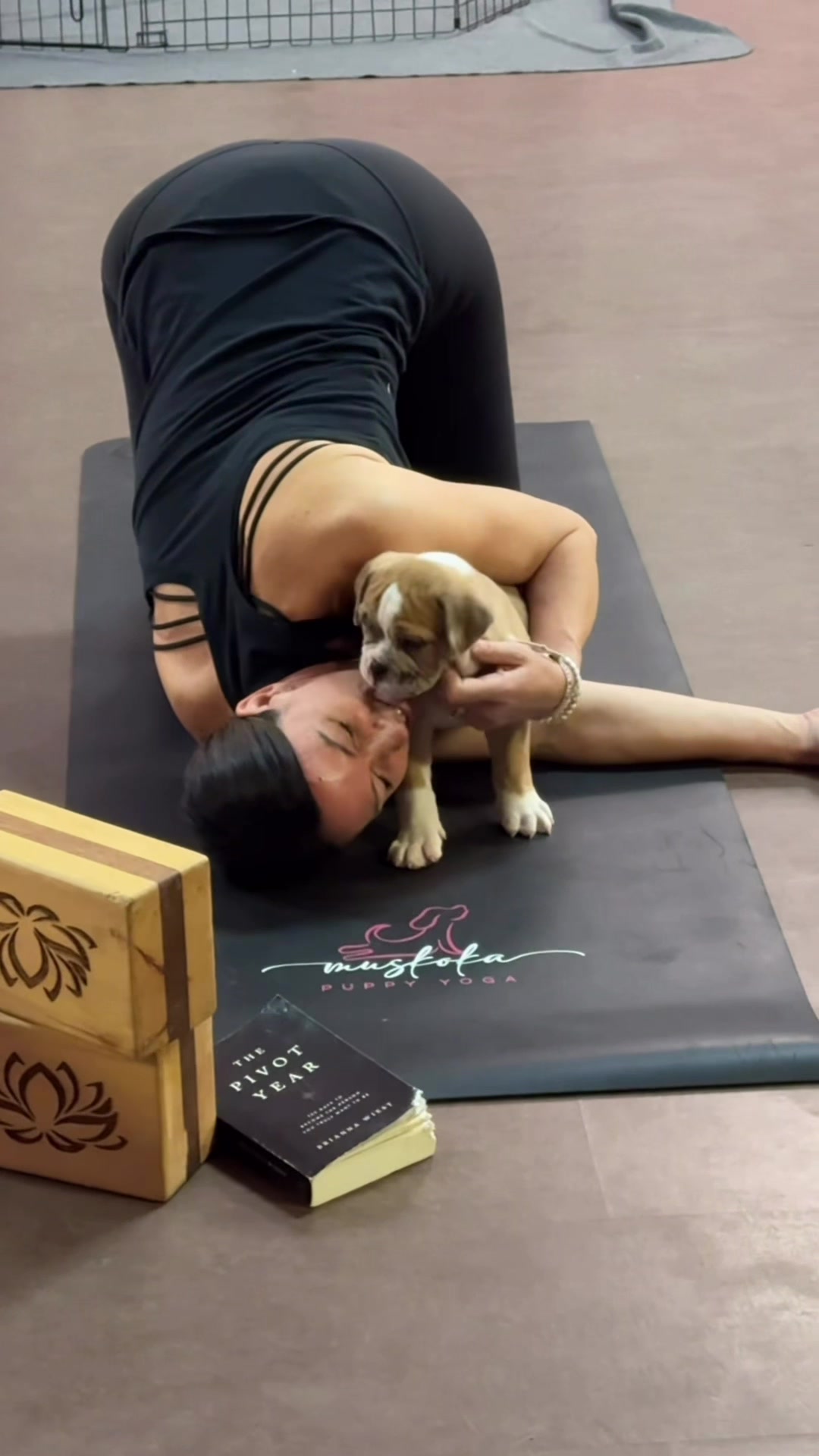@Muskoka Puppy Yoga