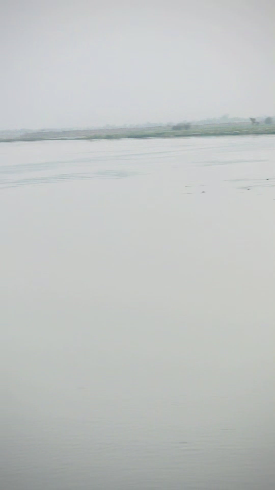 @ladlabhatti