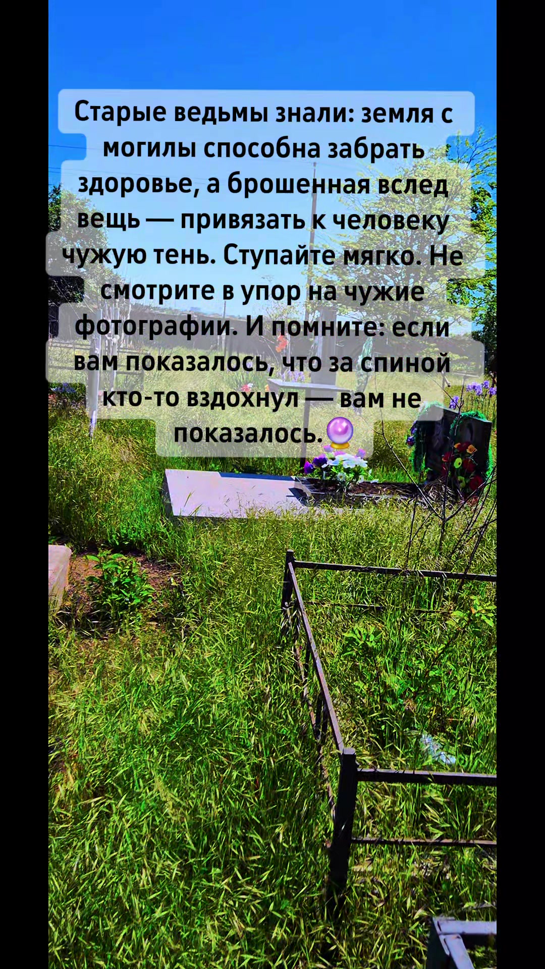 @𝒱𝑒𝒹𝓂𝒶🔮