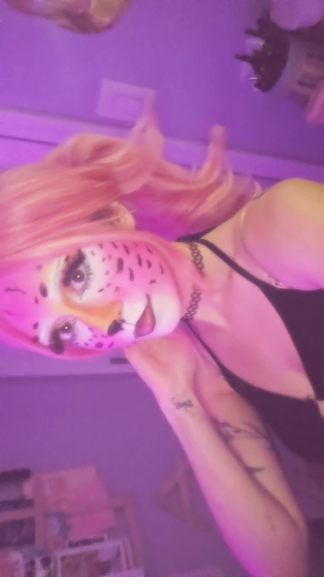 @ilaya