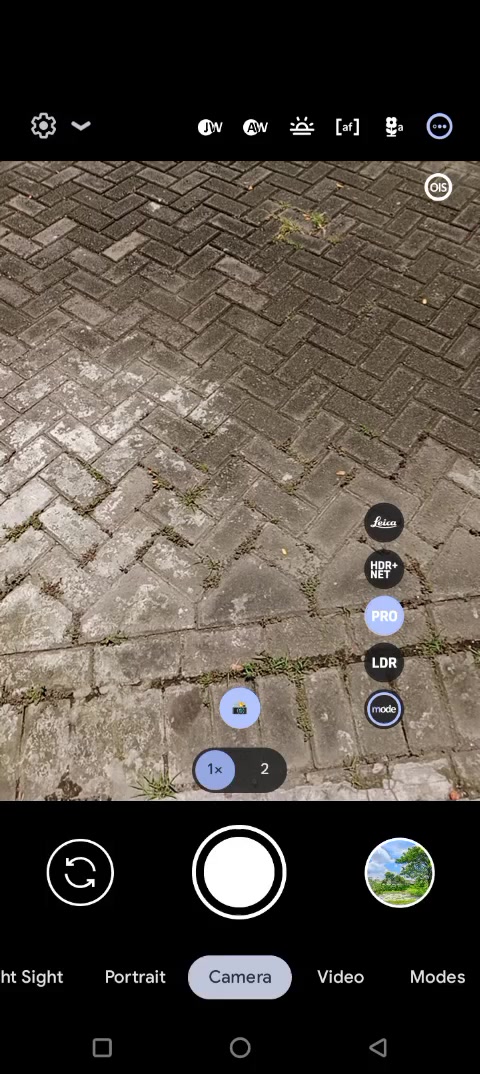 @Riz