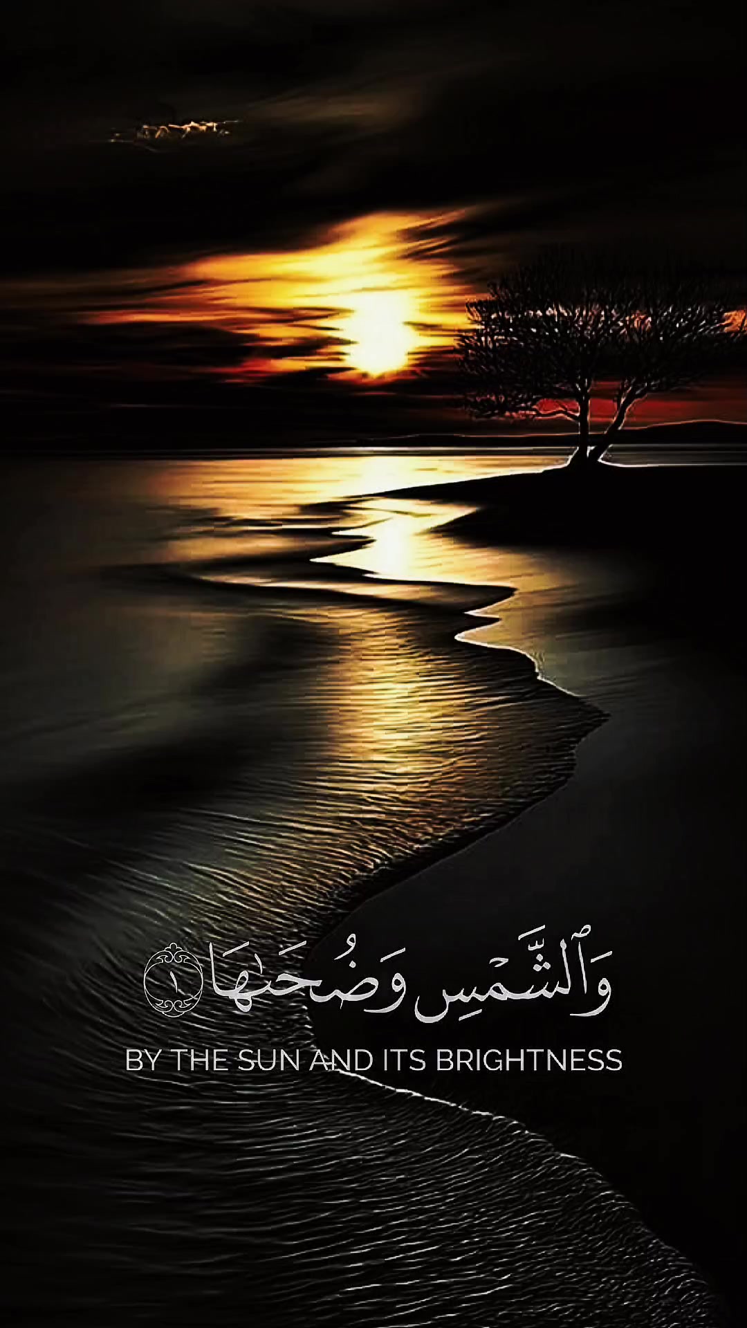 @🇸🇦🇸🇦 MUDASSIR ANSARI ❤️❤