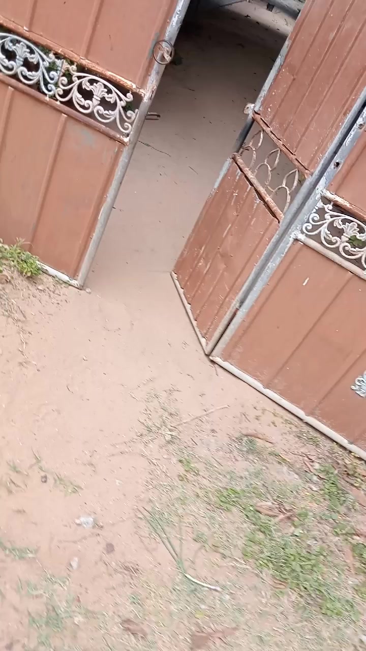 @Niyas Niyas