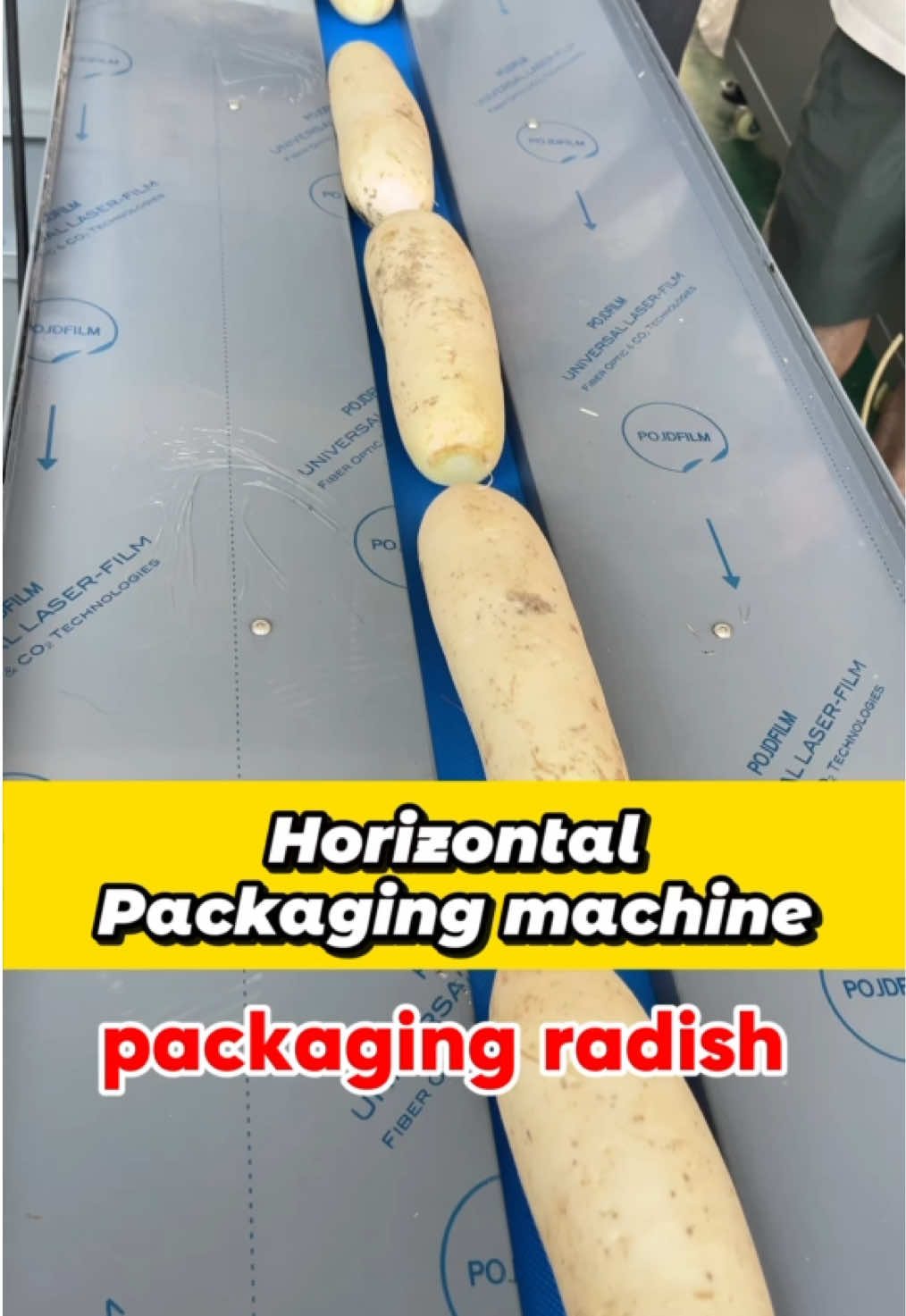 @PackagingMachinery-Sunny