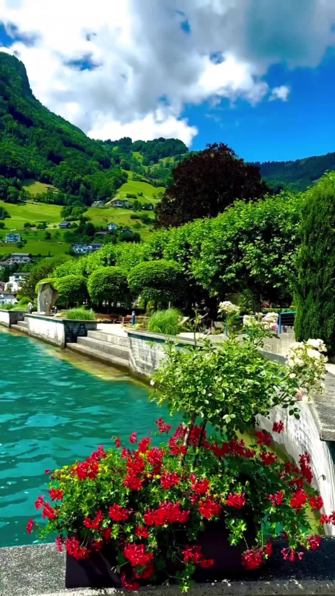 @pardip706