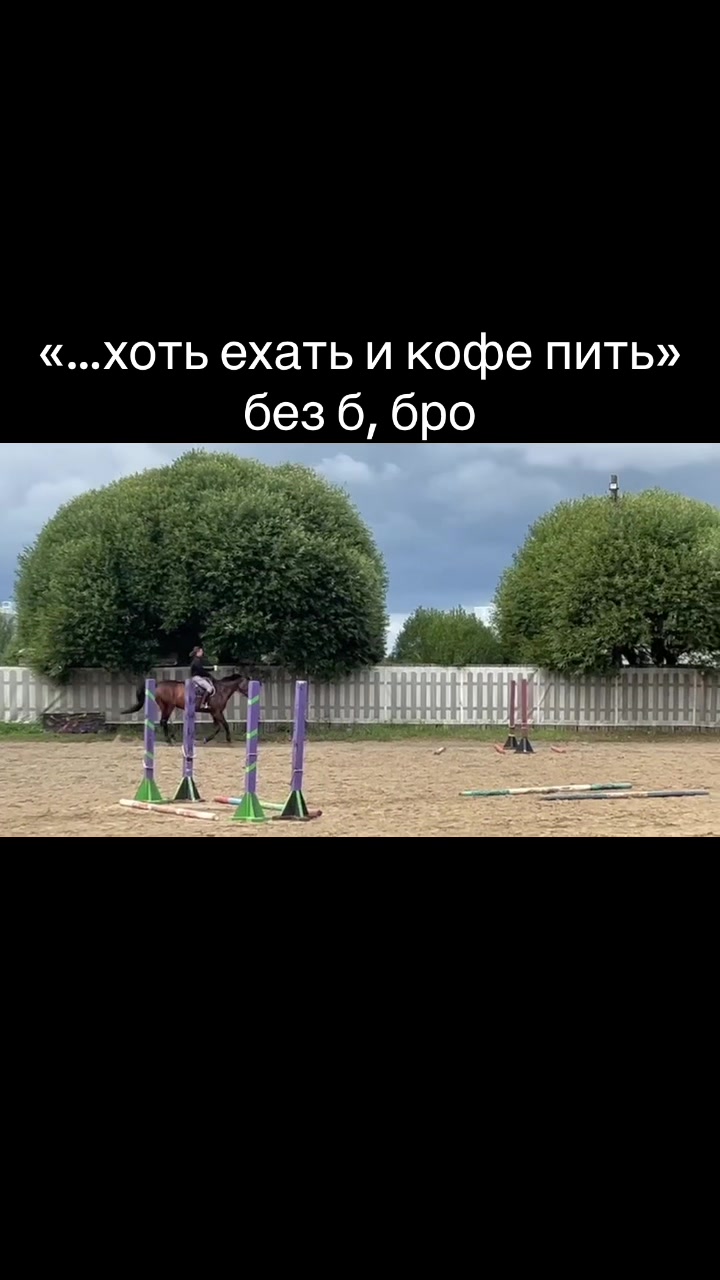 @пыликуснул