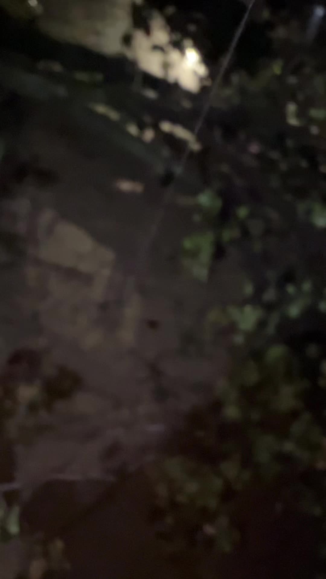 @꧁͜͡K͜͡i͜͡s͜͡h͜͡a꧂