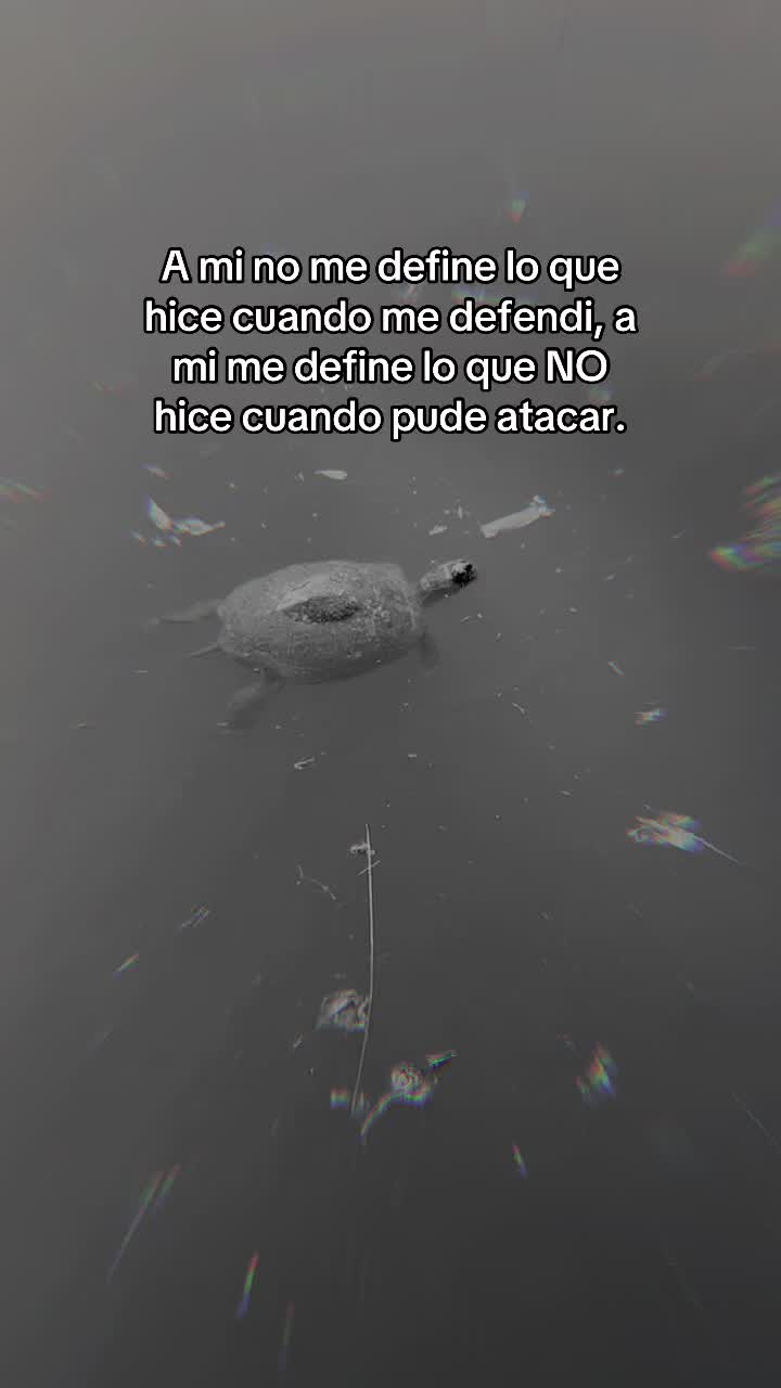 @ᥫ᭡ Abigail Escalona ᥫ᭡