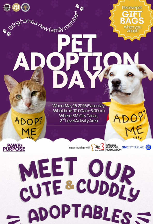 @AnimalKingdomFoundation