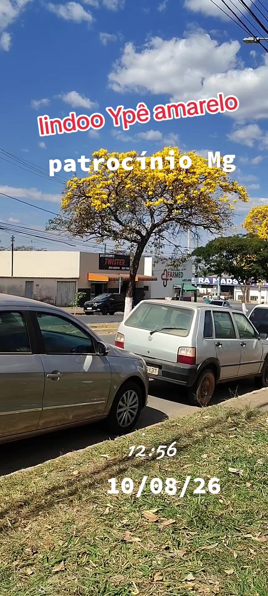 @aparecidamachado303