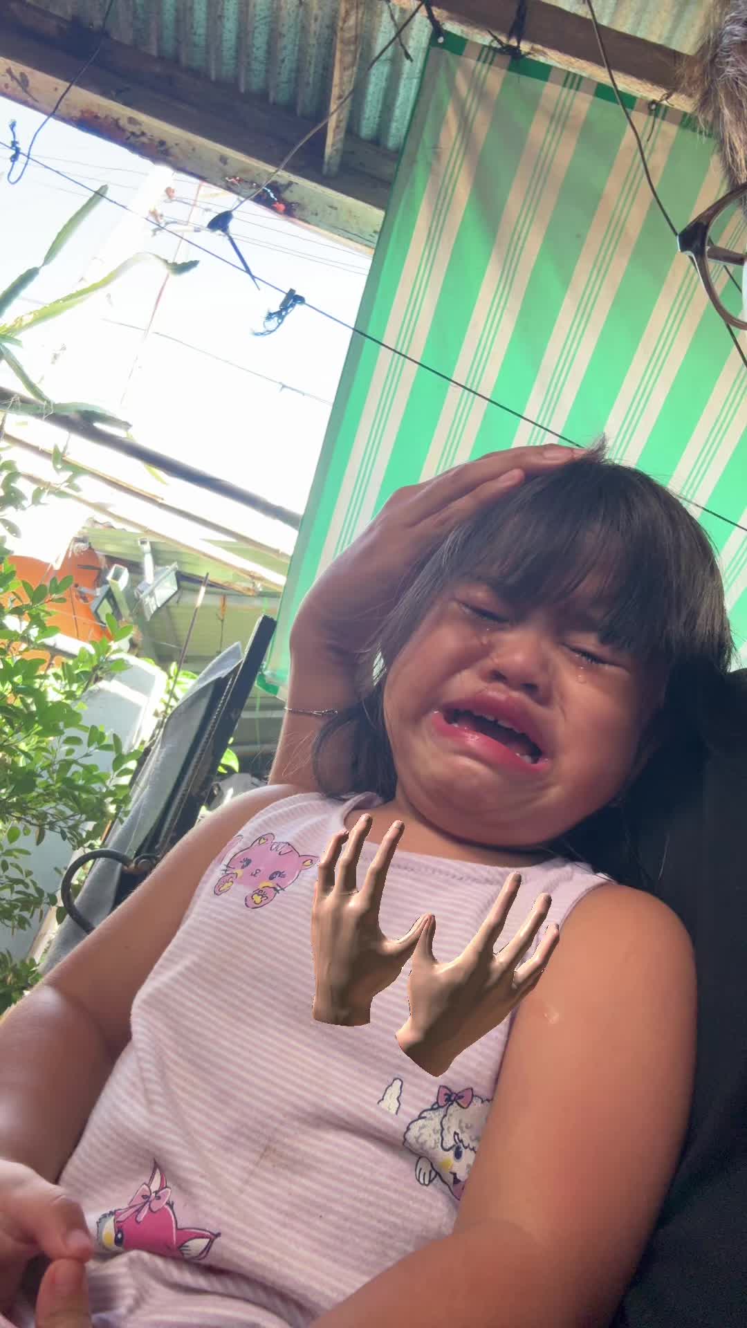 @Shimlife