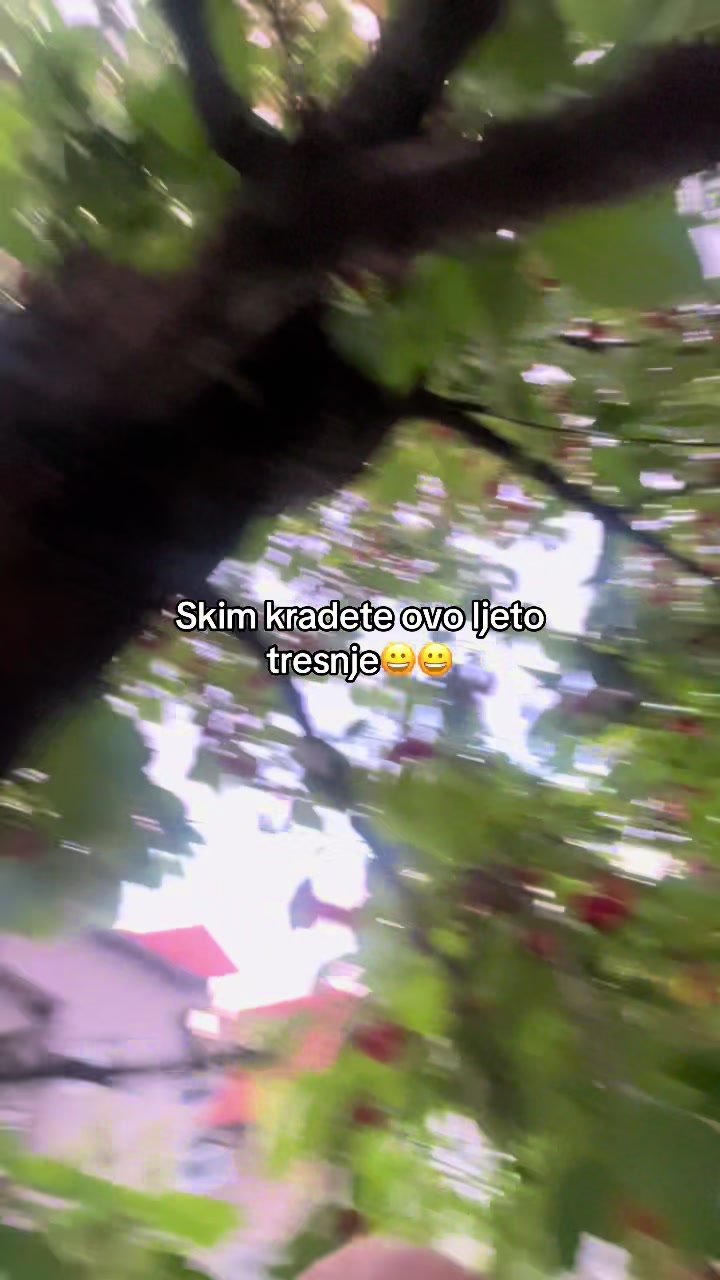@Ermin