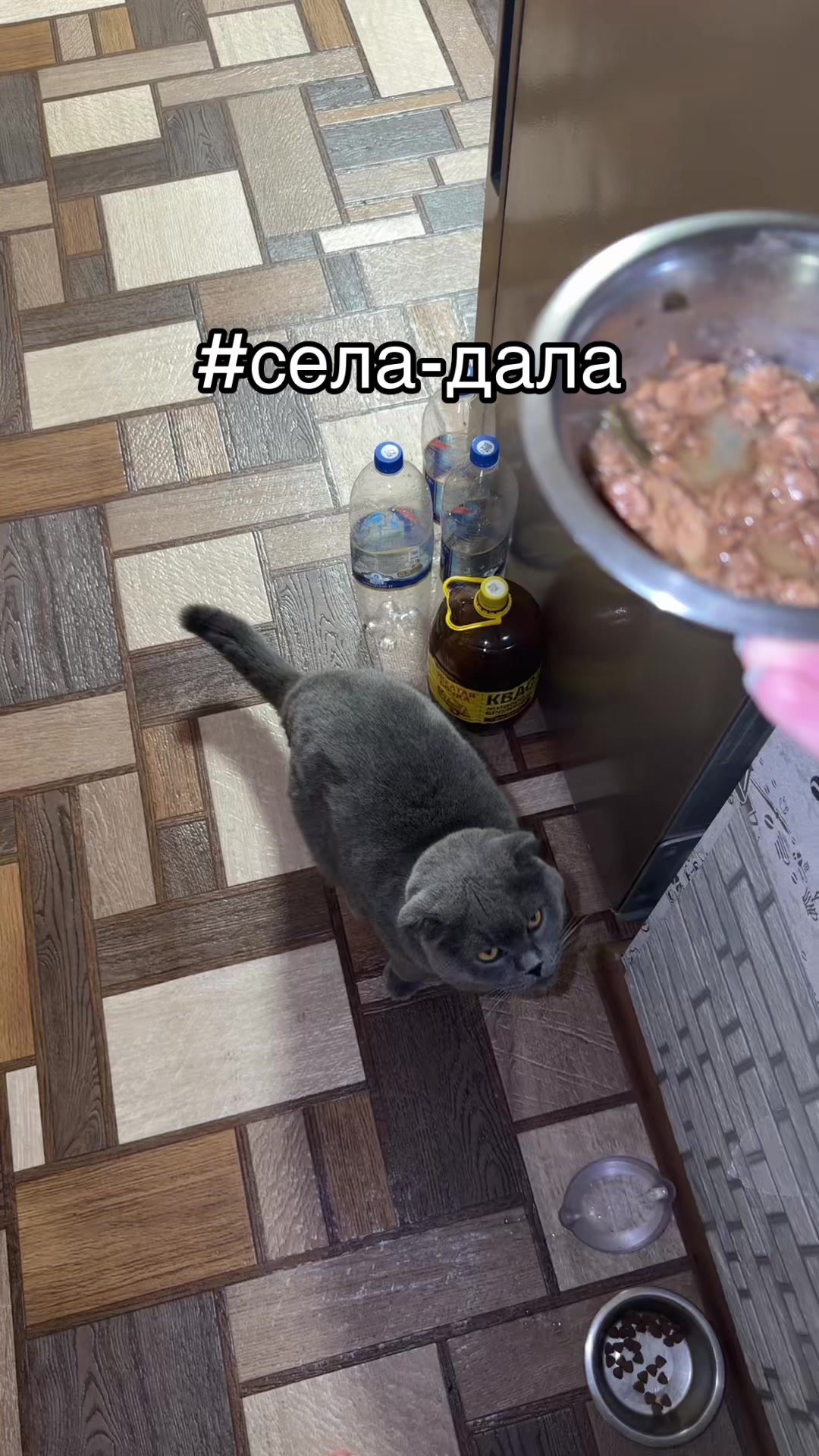 @ТГК: ЖуЧаРа🪲