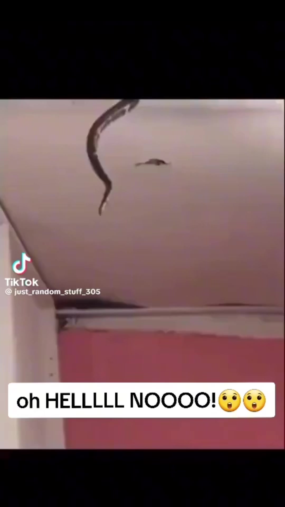 @𝚄𝙽𝙺𝙽𝙾𝚆𝙽 &times;͜&times;
