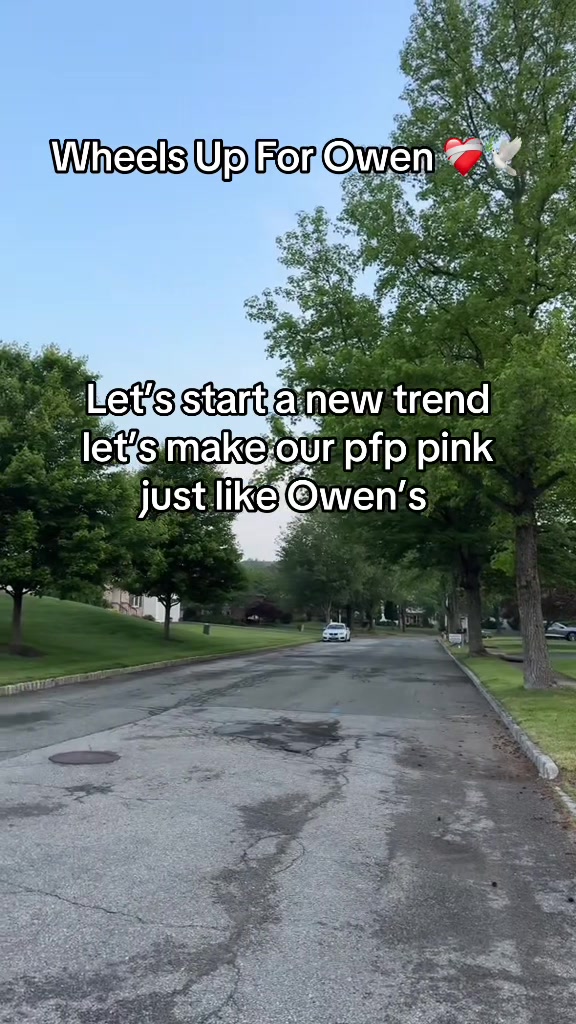 @LLO 🕊️
