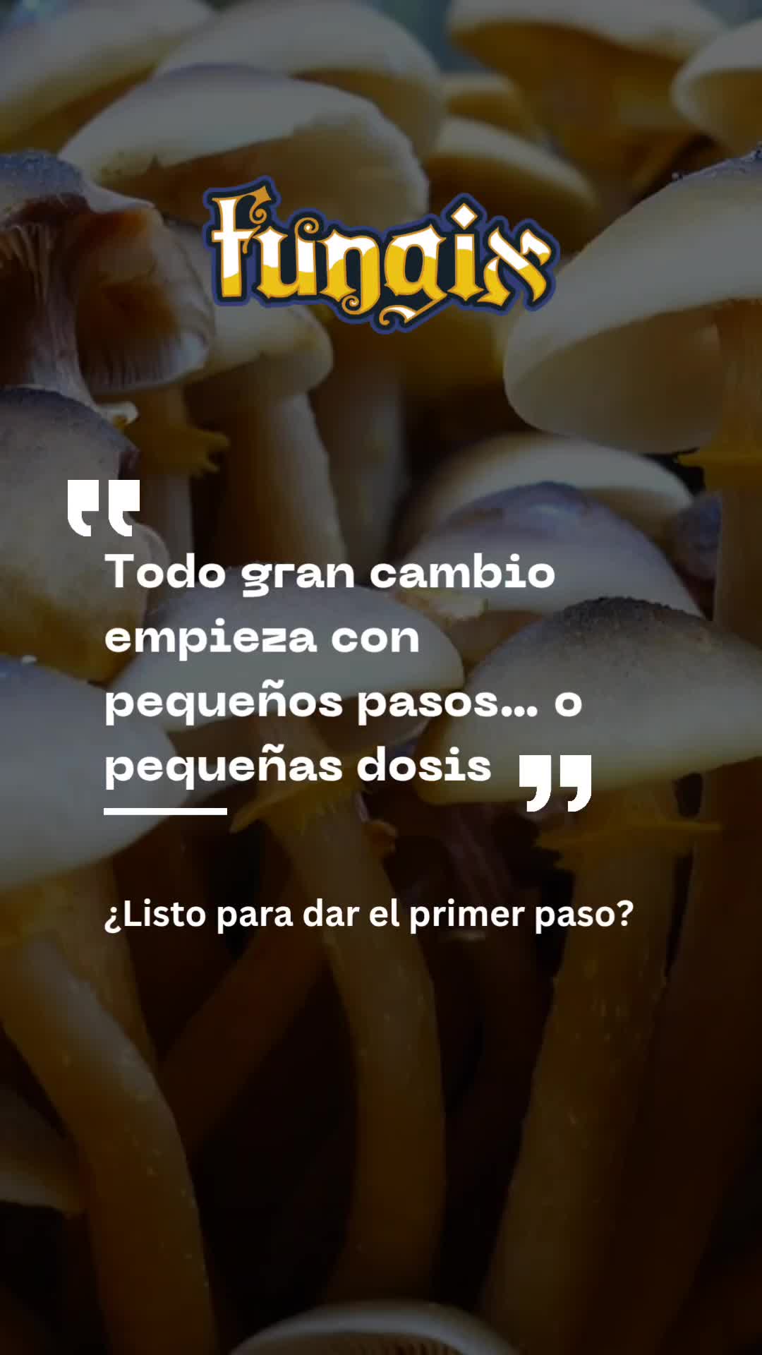 @FungixOfficial🧬🚀