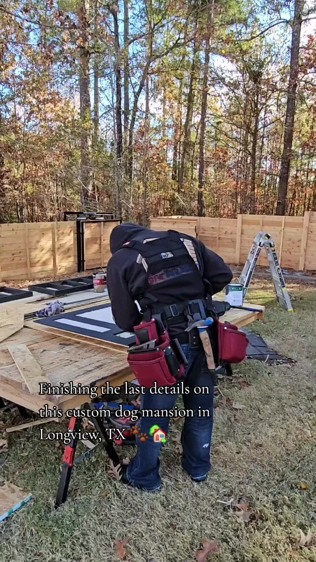 @dfwdoghousesllc