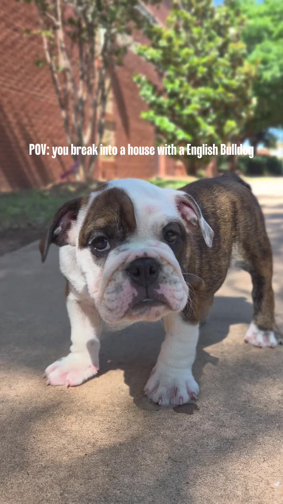 @Petland Oklahoma City