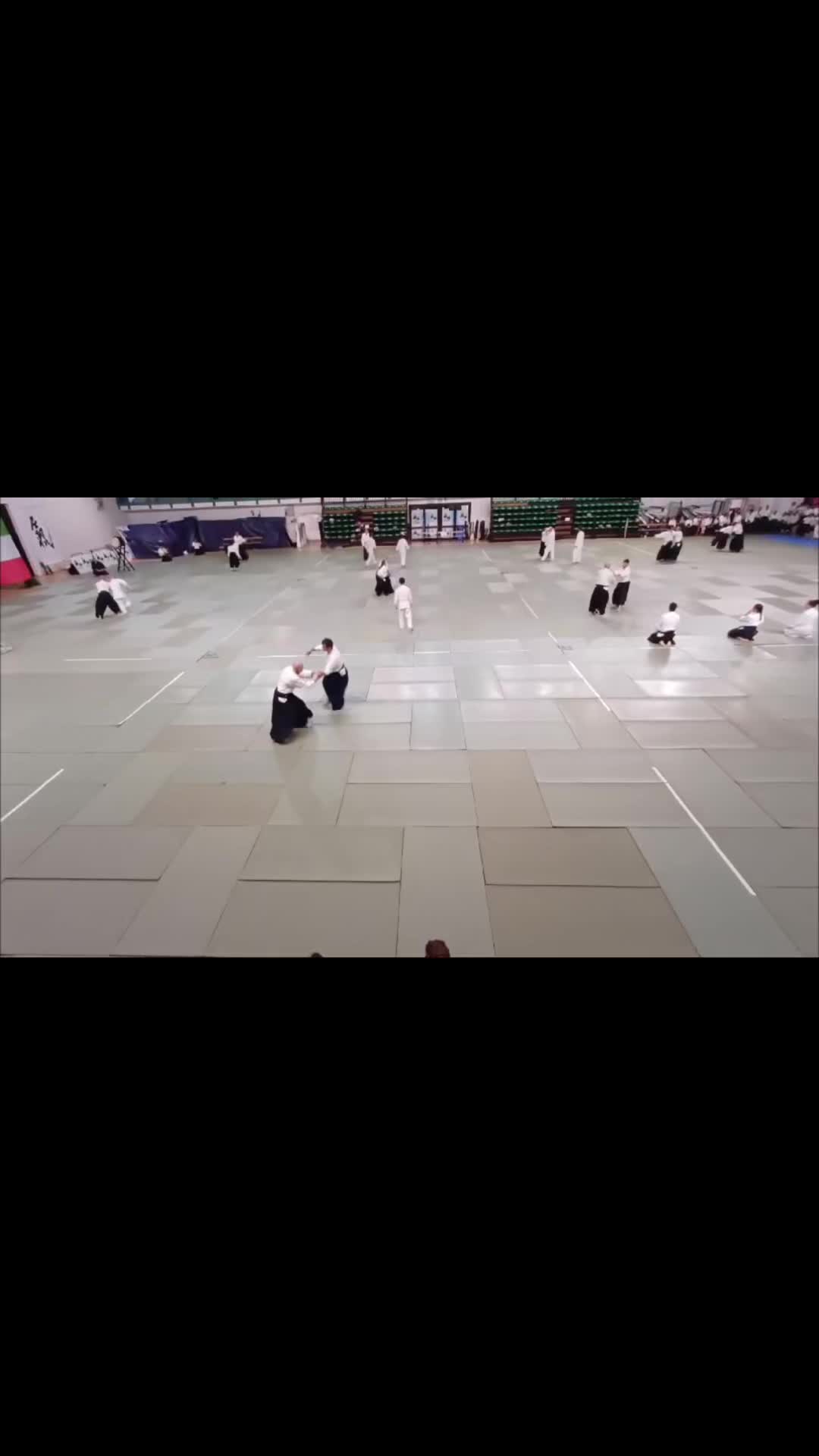 @AikiLuigi