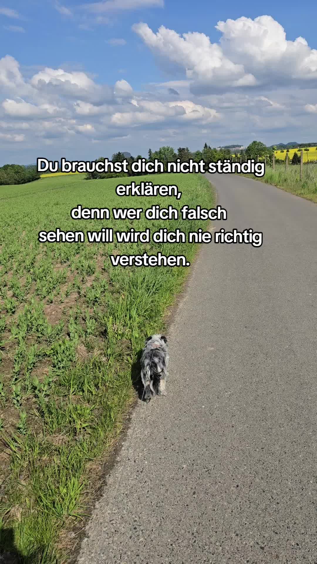 @J͟e͟s͟s͟i͟c͟a͟ ᥫ᭡