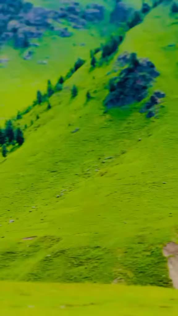 @moazam ali 4691