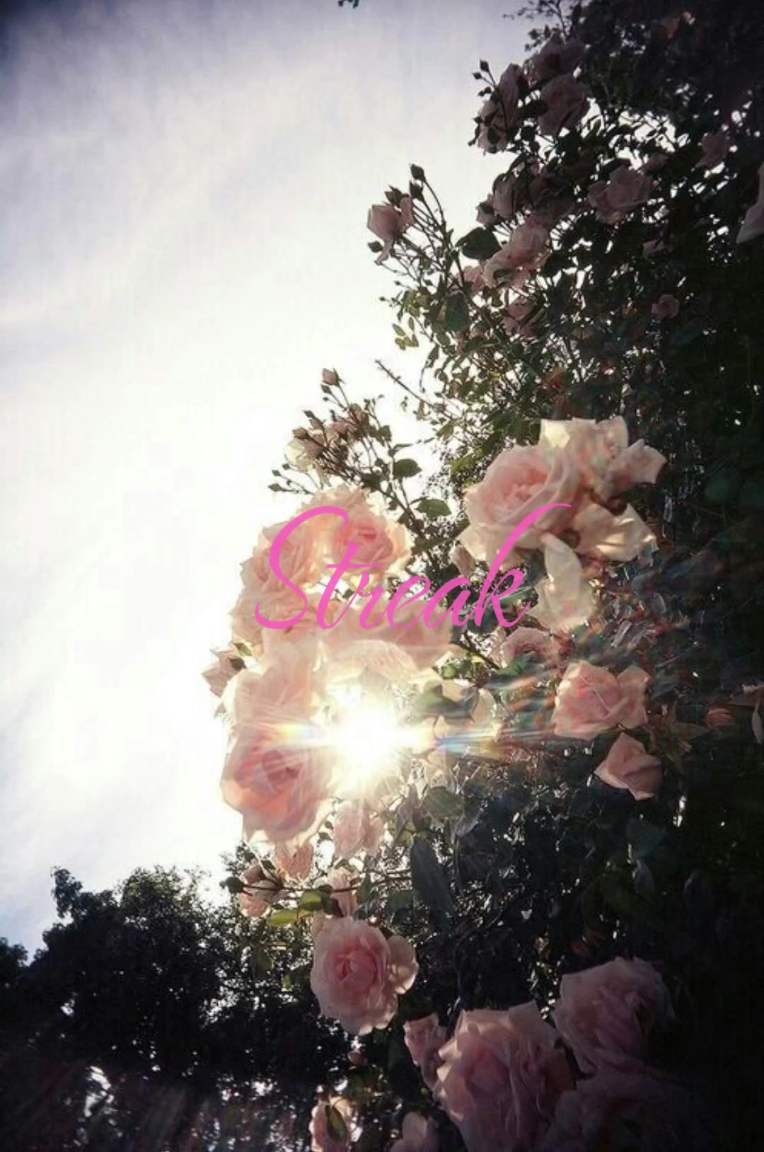 @nouww💐