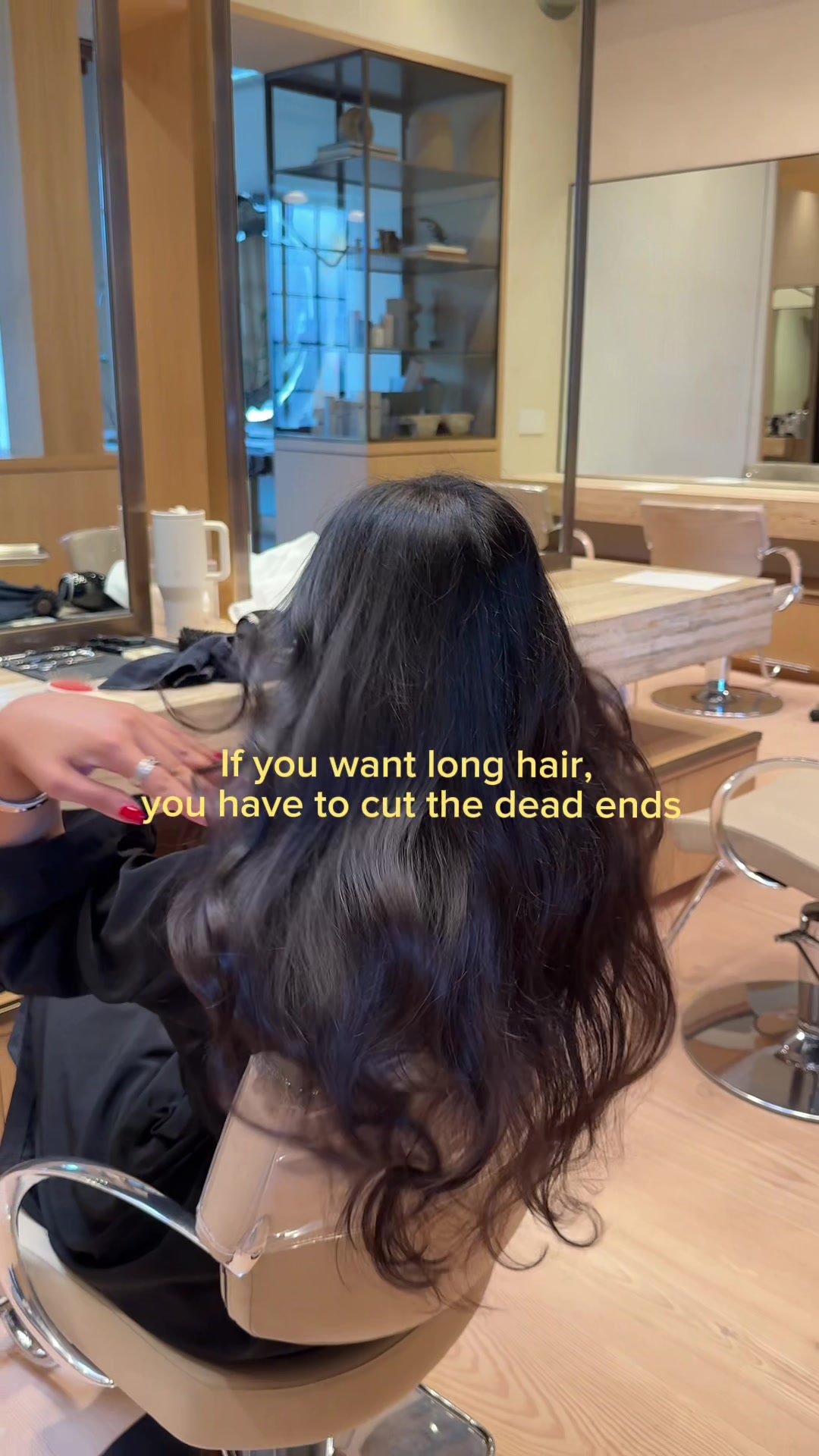 @Dr. Sasha Haddad