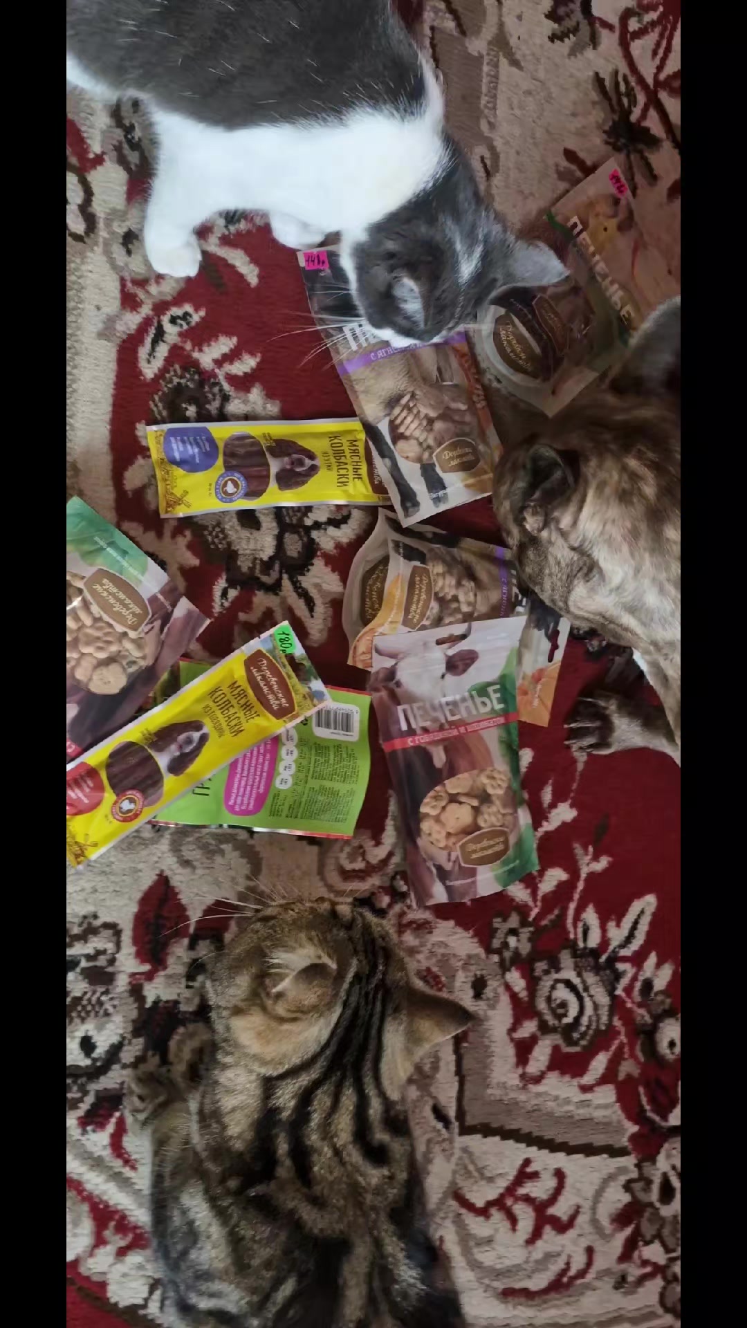 @Вера Калмыкова