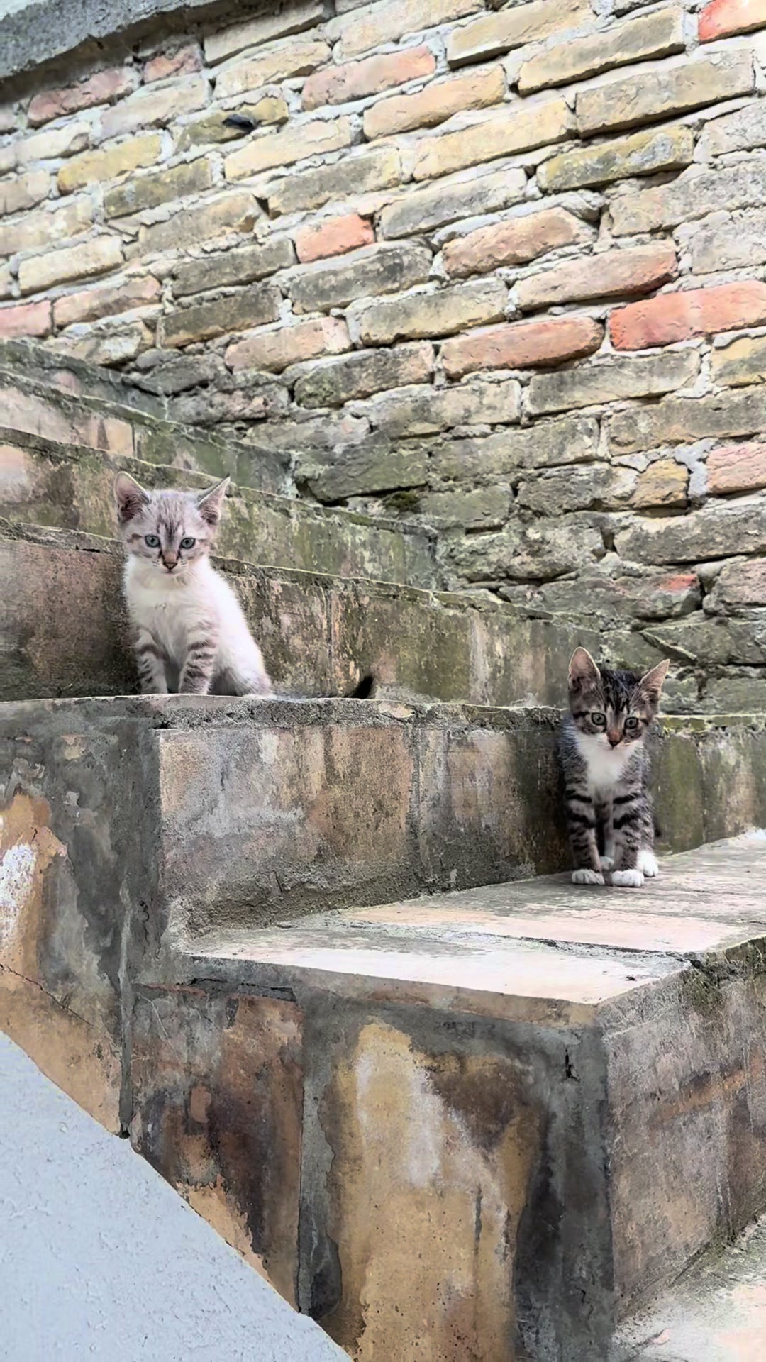 @Sladja🐱