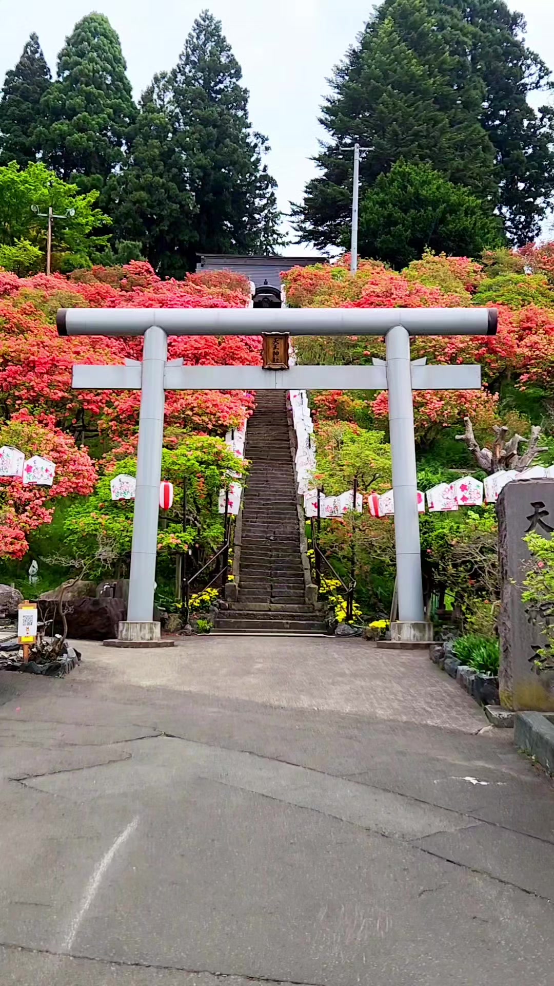 @ばっしー 東北を旅する人