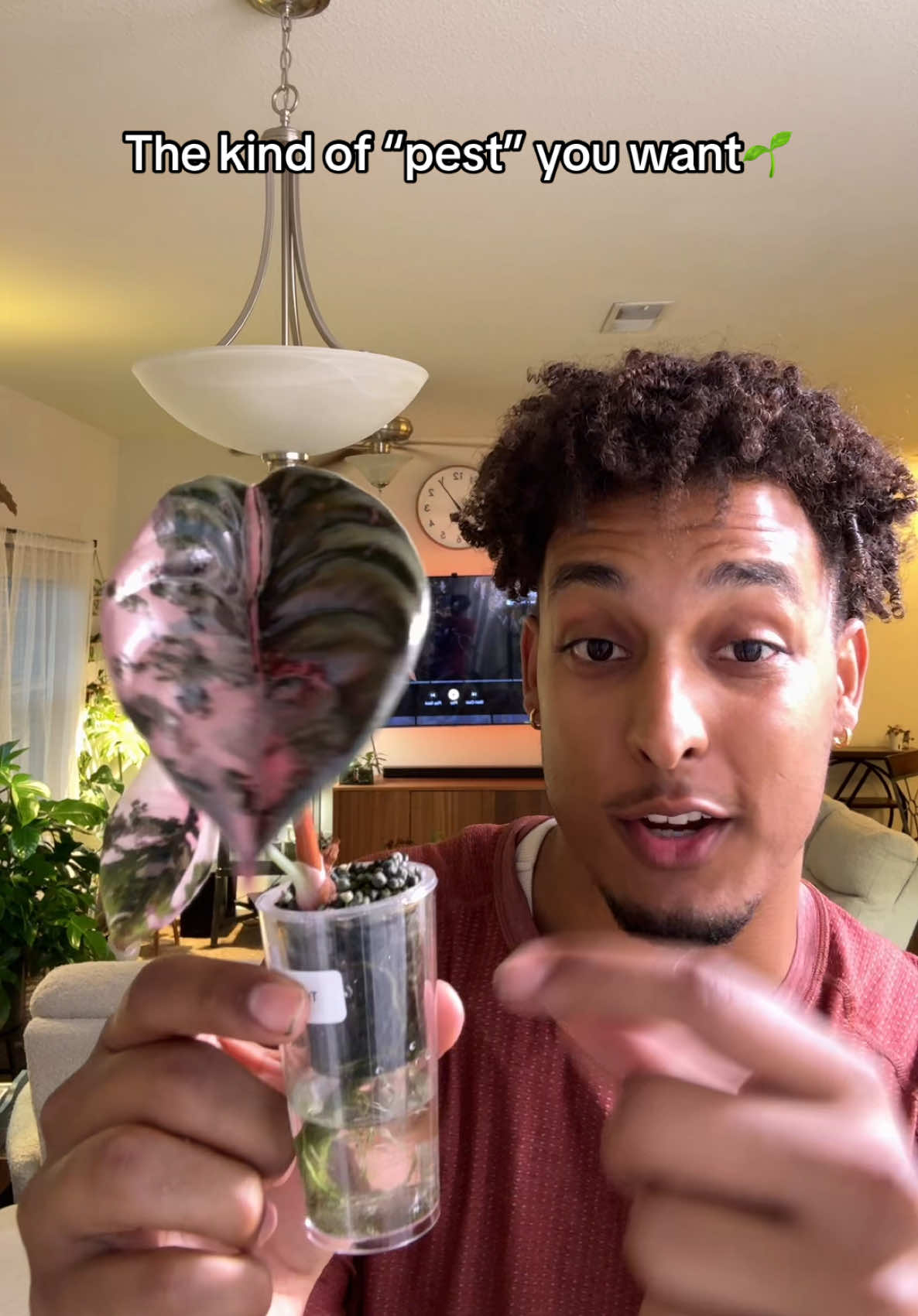 @RarePlantNinja