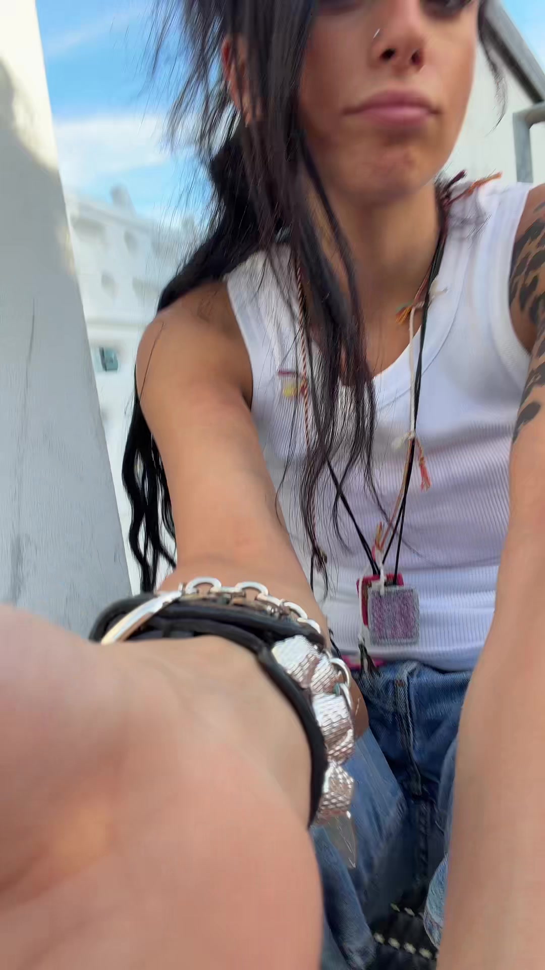 @persiankitten