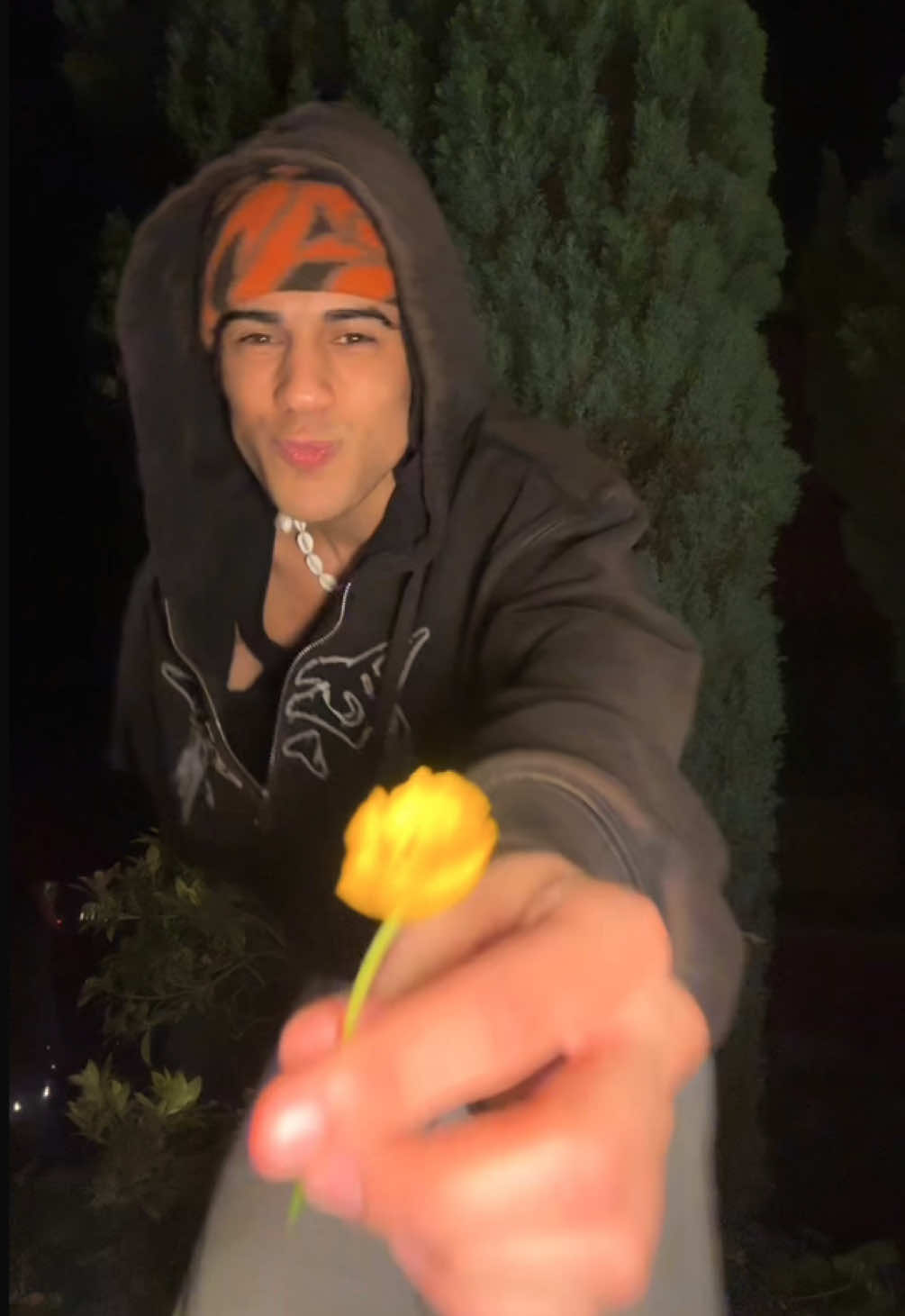 @DIO 🪼