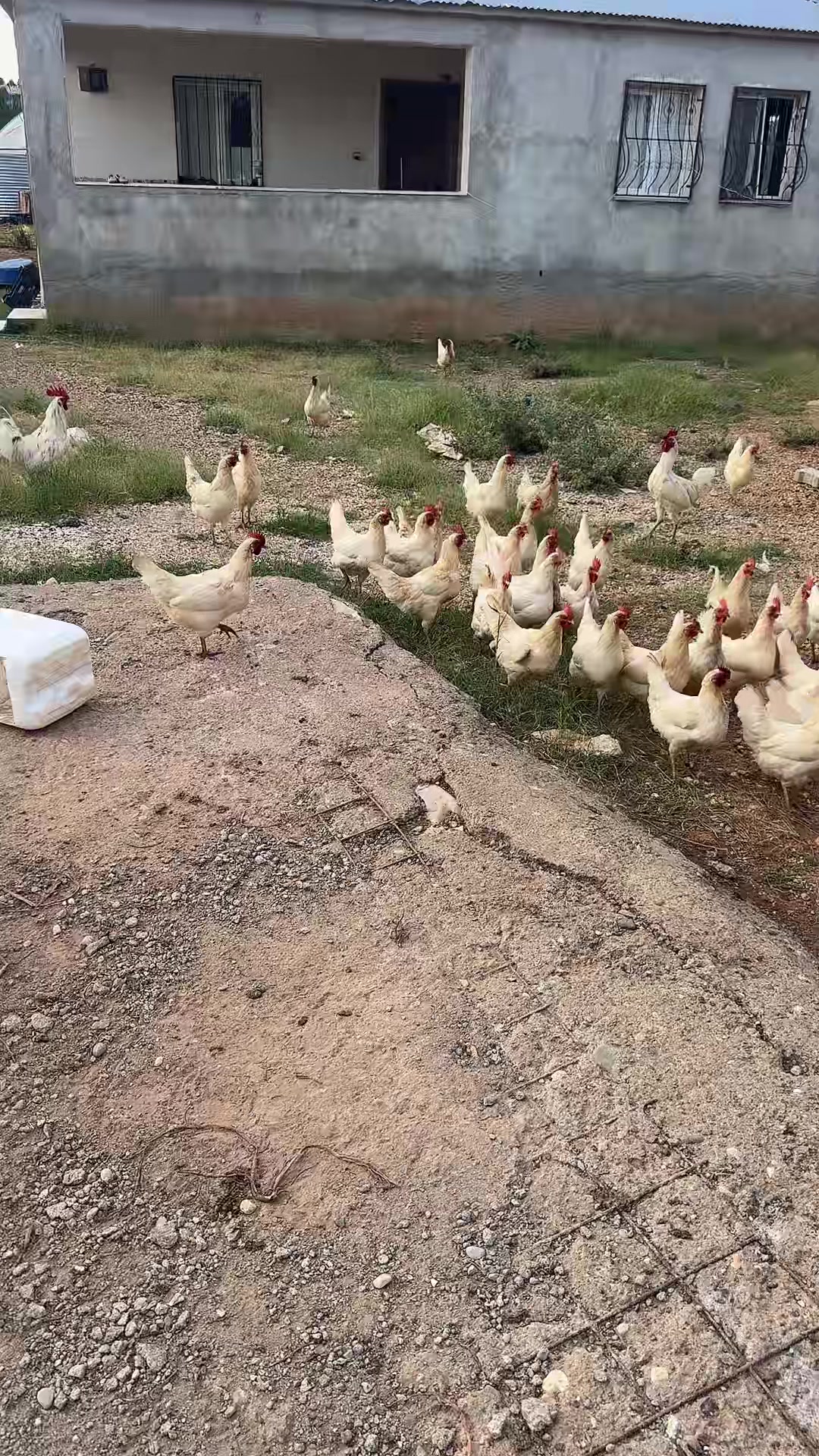 @Mehmet Yalçın