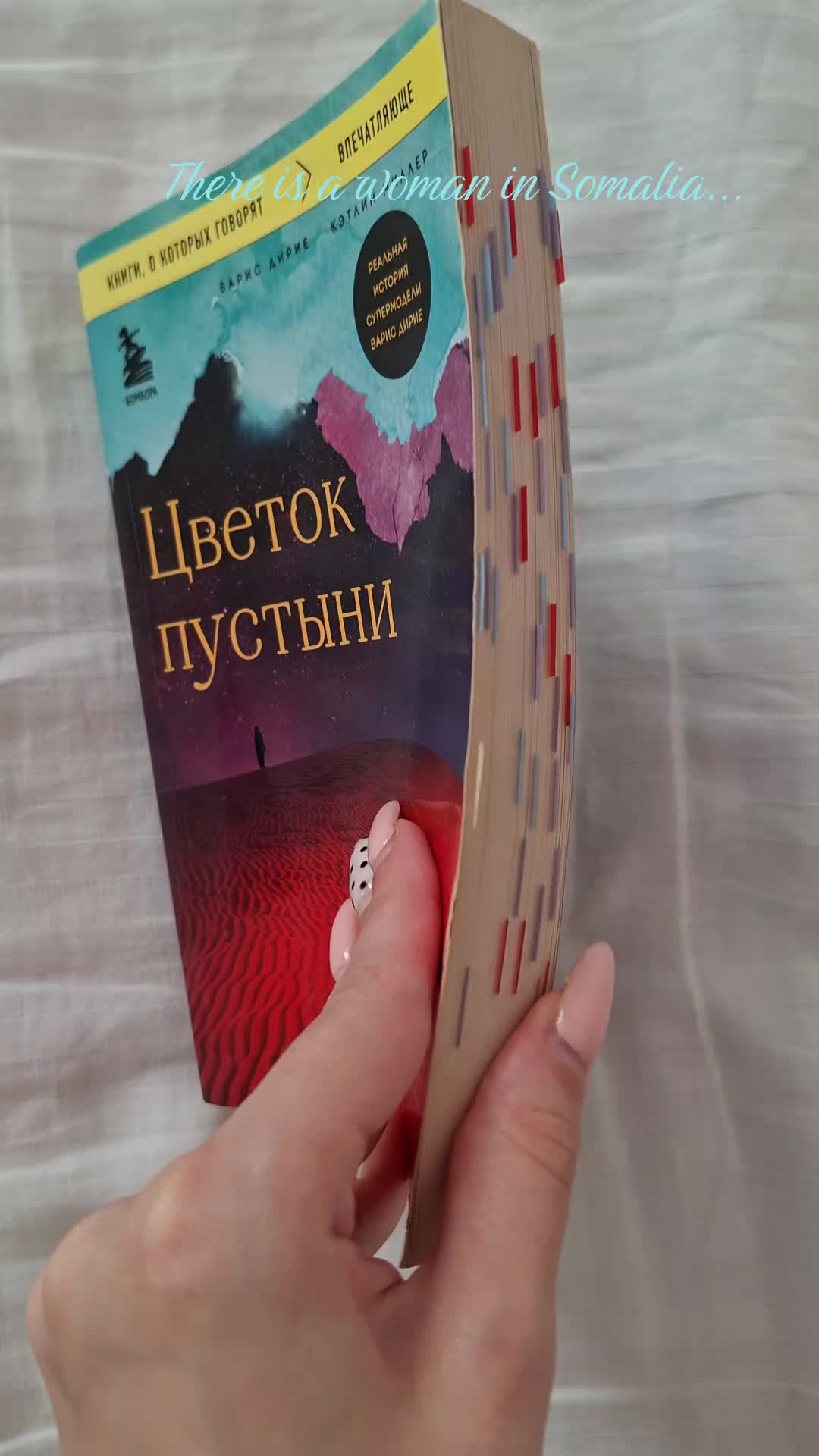 @anna 𝜗ৎ