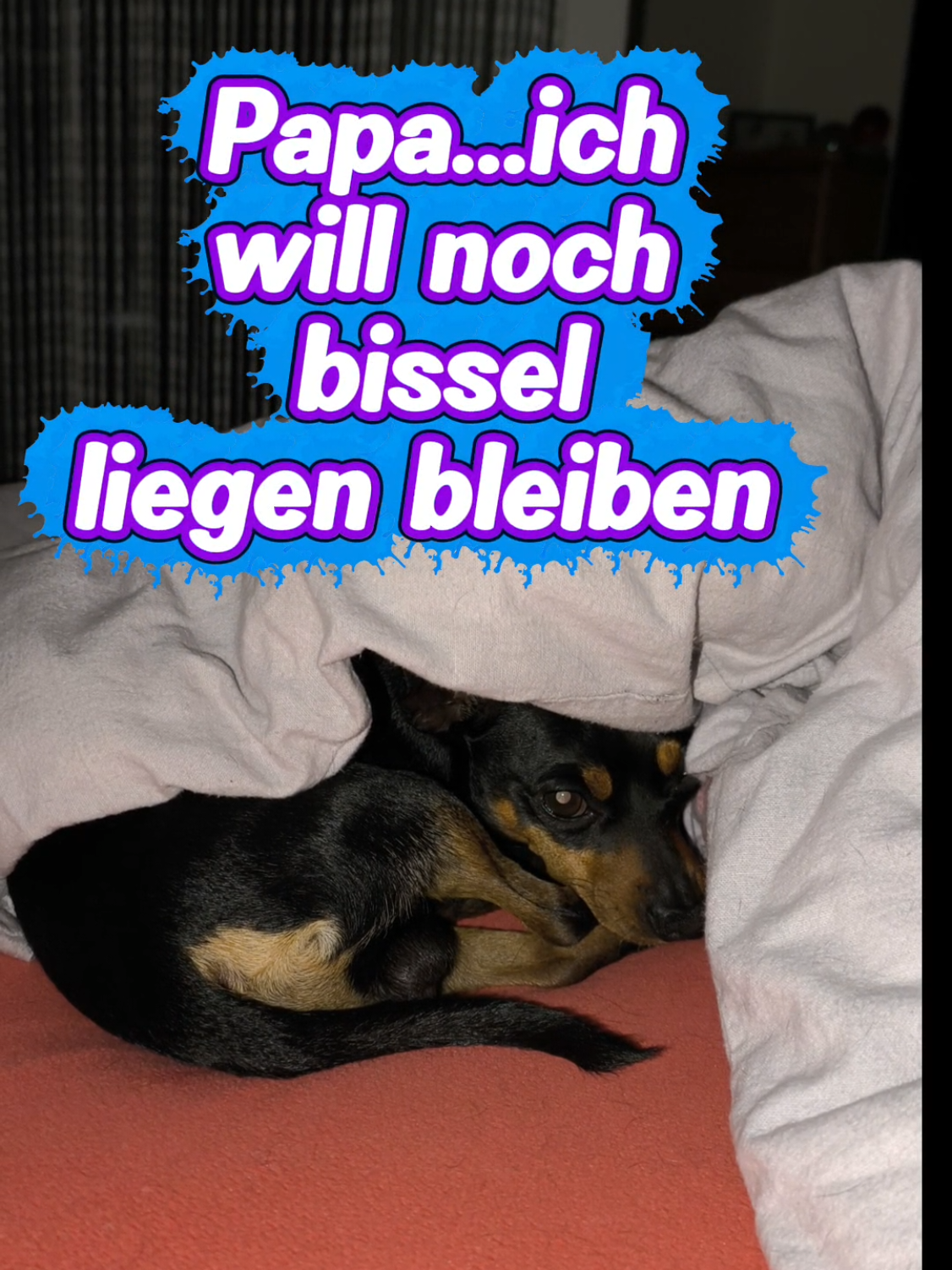 @ICH BIN'S