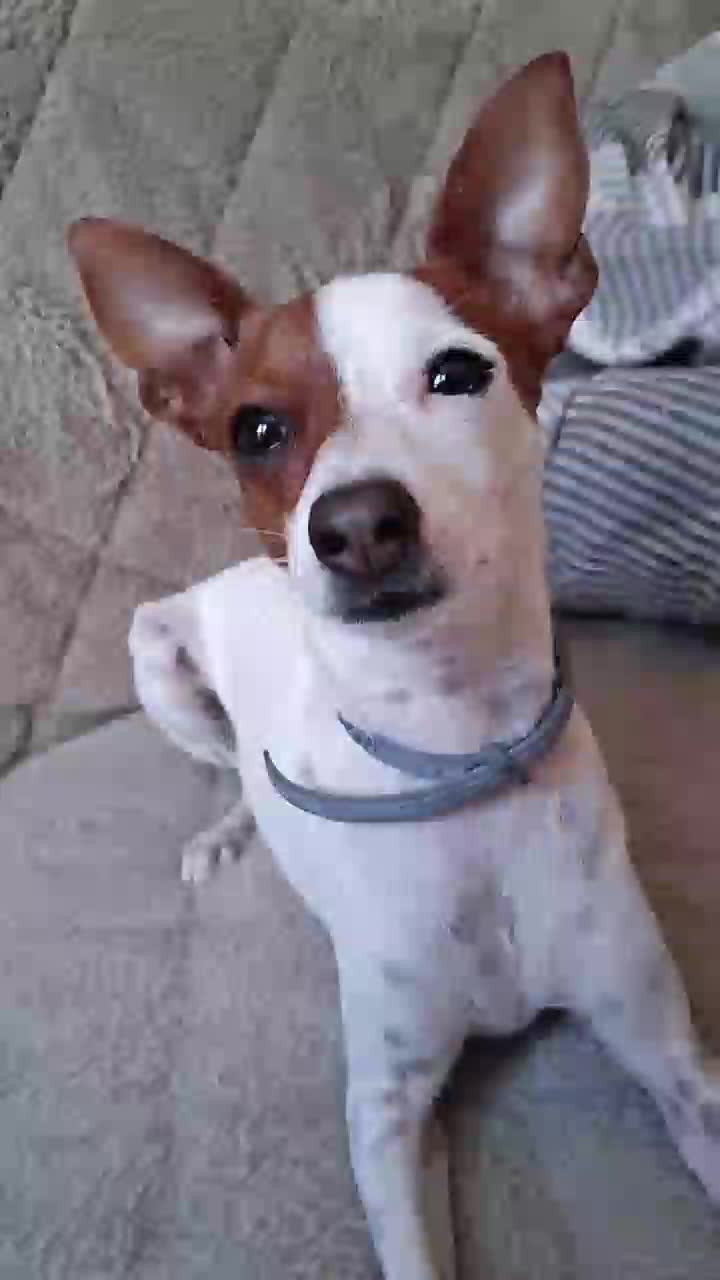@Manu
