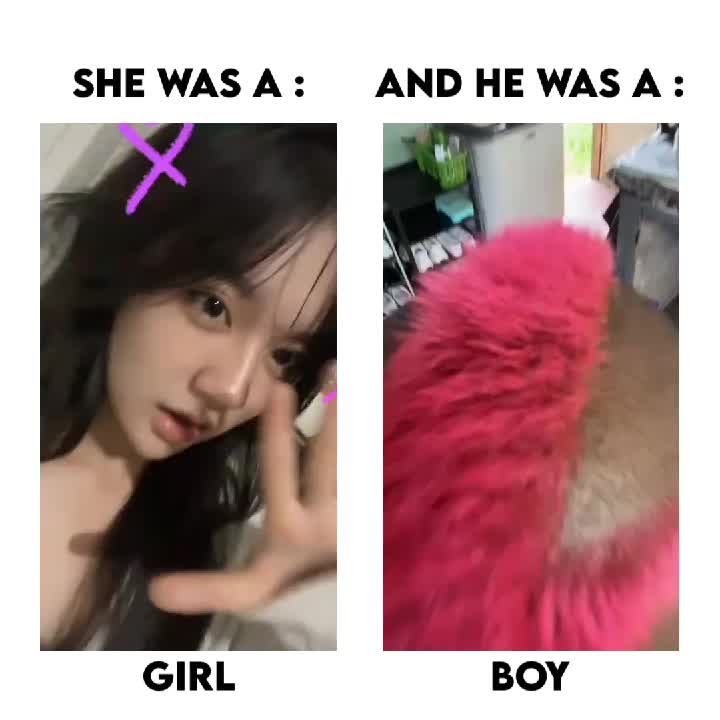 @fafafufu