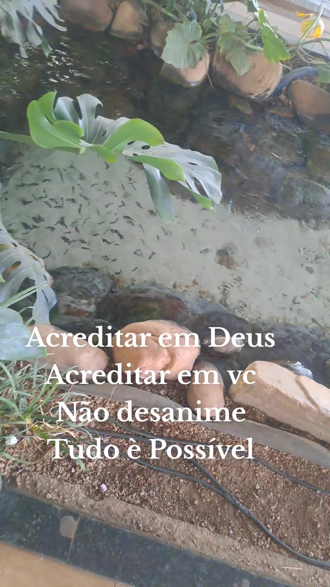 @Flávia Moreira Nascimento