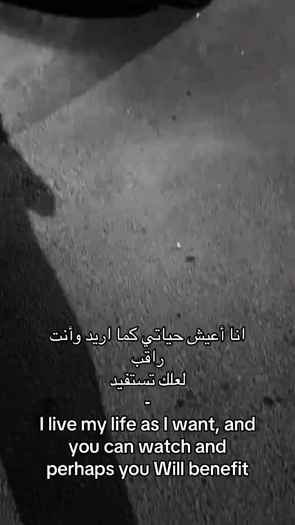 @T 3 o🪽