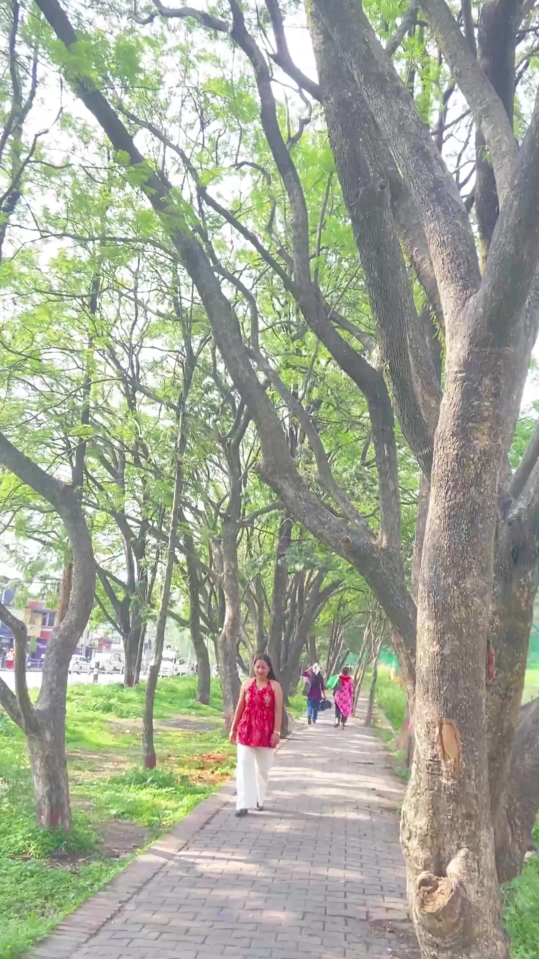 @SIRAJANA ADHIKARI ❤️
