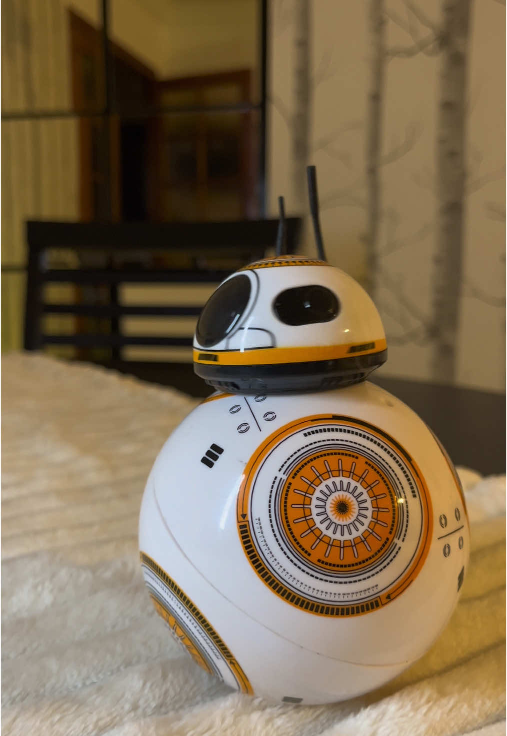 @BB8FuNy