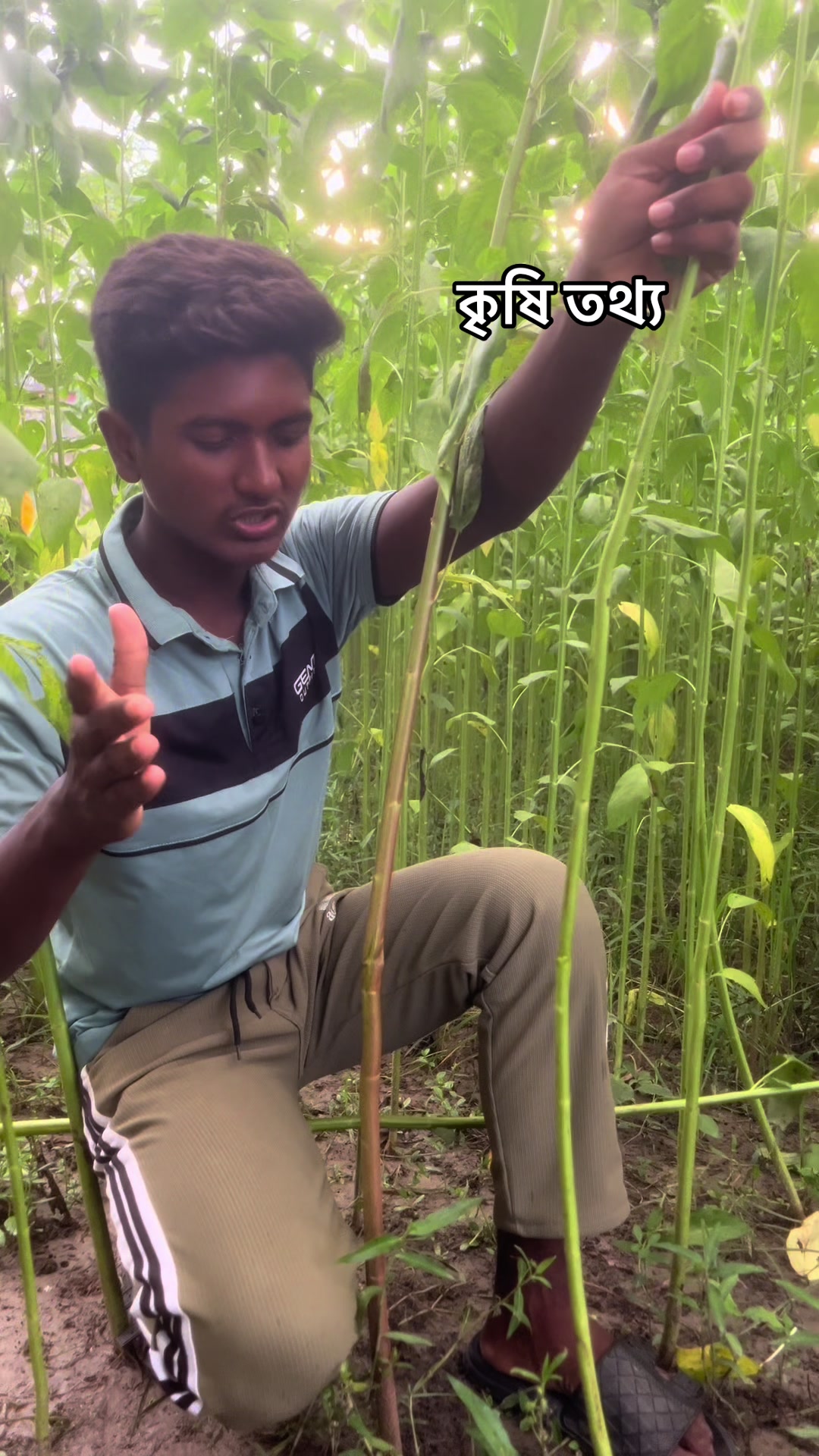 @JR_Mamun Hossen