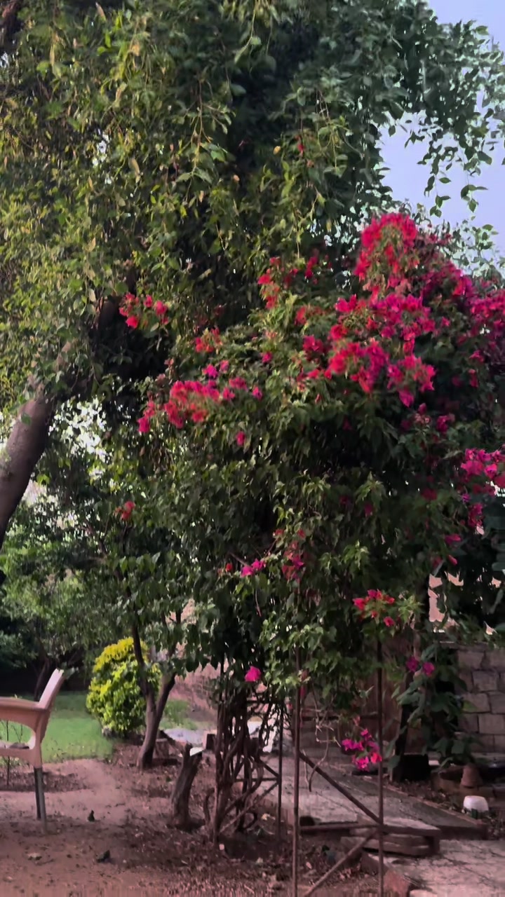 @zahraabbas47
