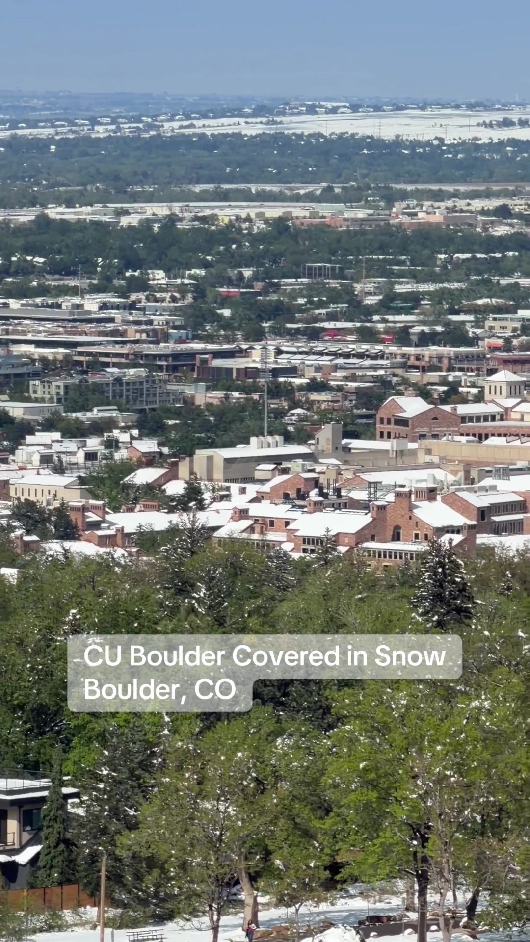 @Colorado Business Finder
