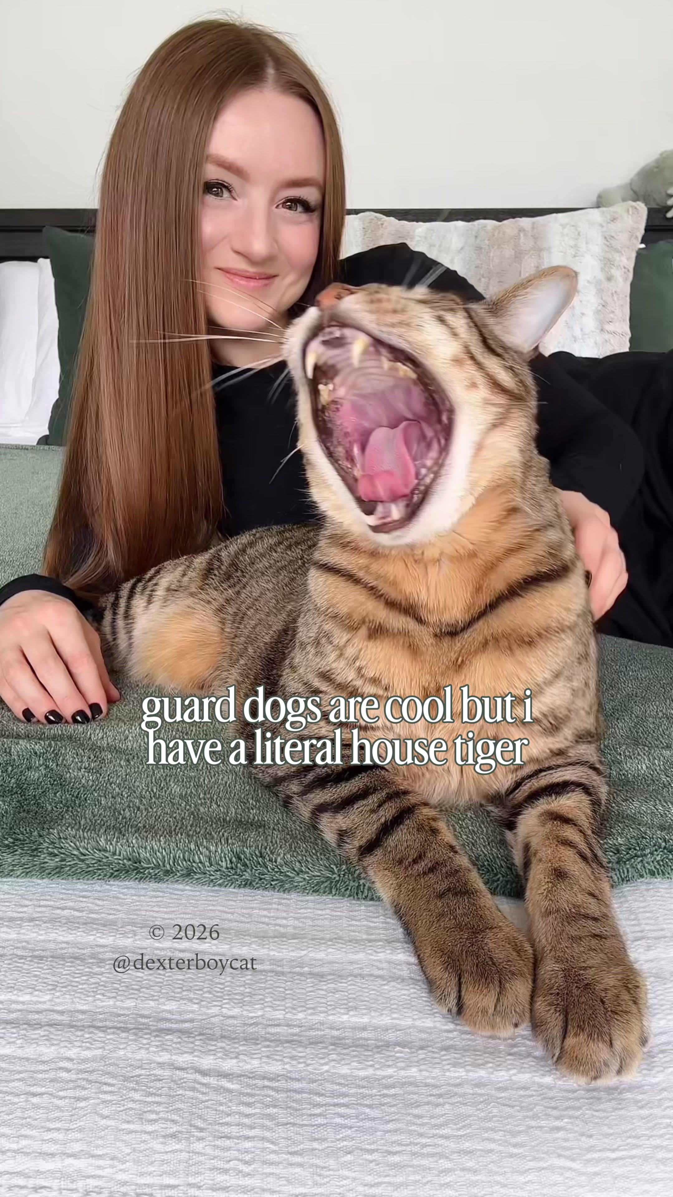 @dexterboycat 🐆♥️