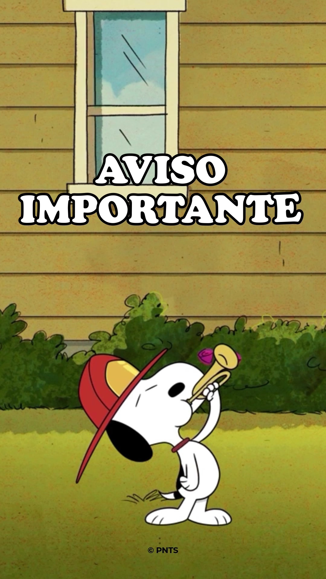 @Snoopy en español